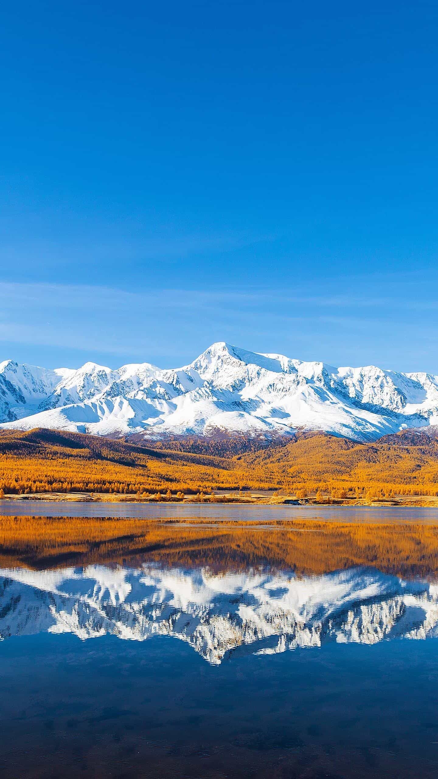 香港站群服务器子云:解锁高速稳定业务部署新利器